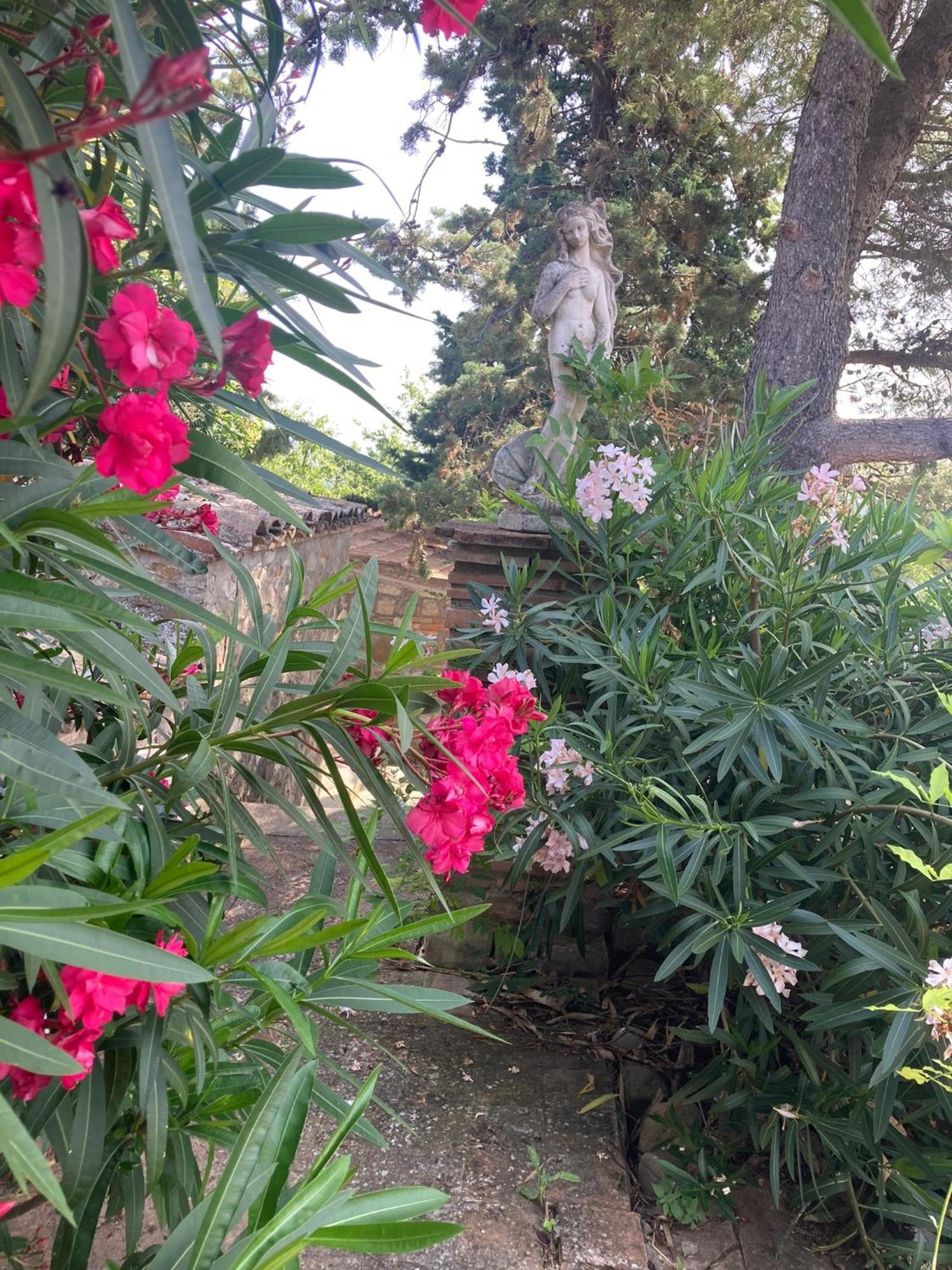 Country House La Collina Di Bargiano - Casa Raffaella Allerona المظهر الخارجي الصورة