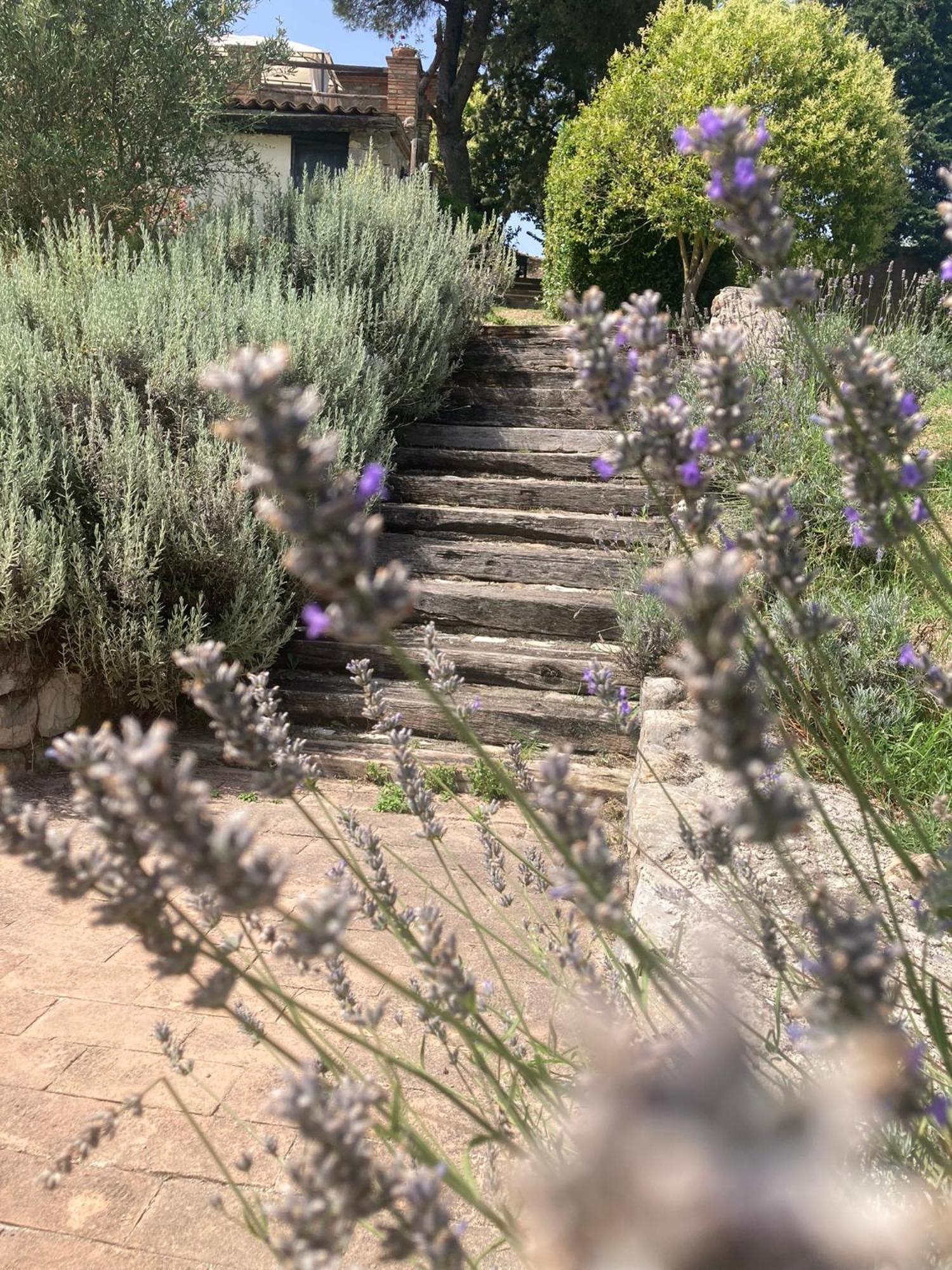 Country House La Collina Di Bargiano - Casa Raffaella Allerona المظهر الخارجي الصورة